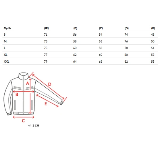 Vyriška tamsiai mėlyna žieminė striukė Ross