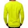 Men's bright jumper Zubol B/181926
