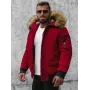 Bomber stiliaus žieminė bordo vyriška striukė Lemor